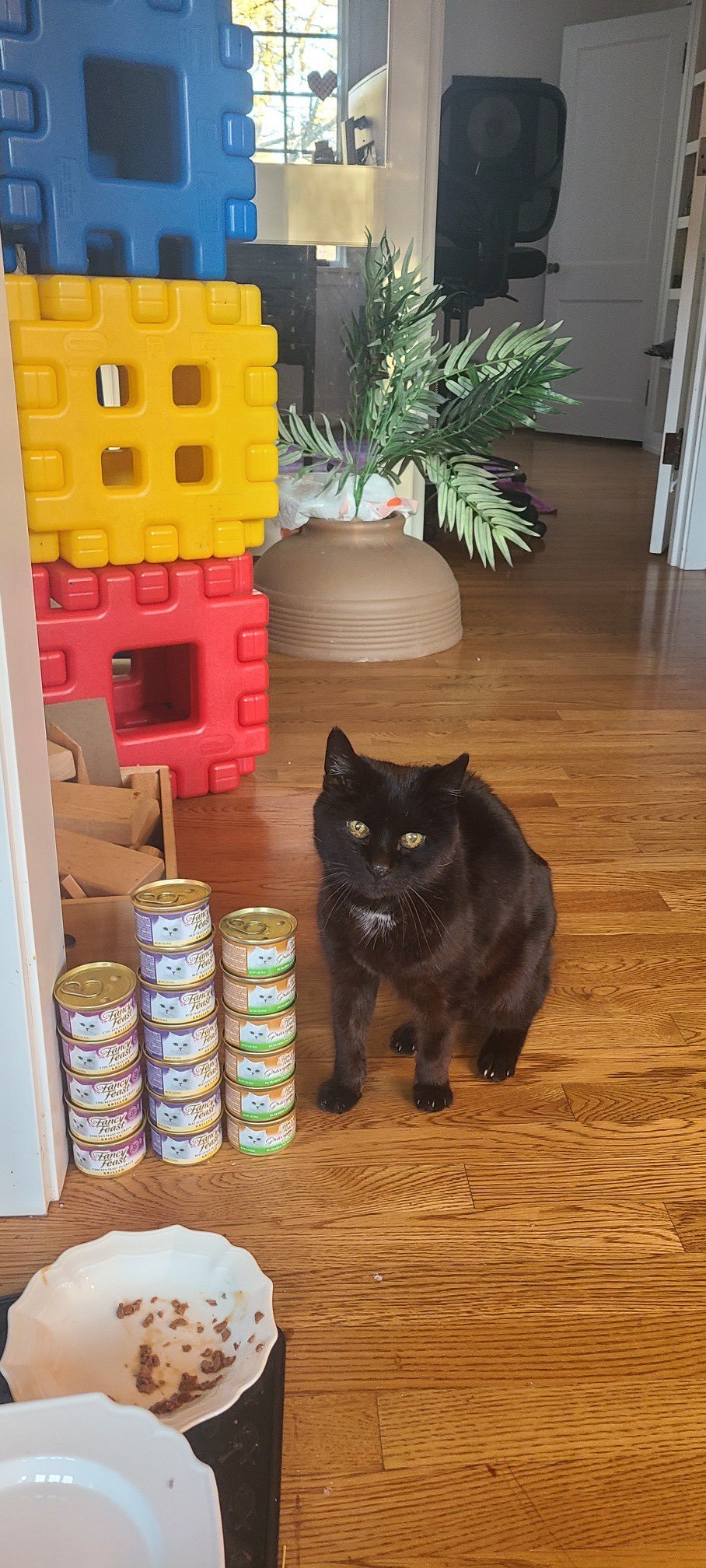 Cat owner reading the ingredient list on a cat food bag in a pet supply aisle